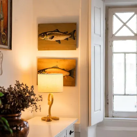 - Light Filled With Terrace Apartment